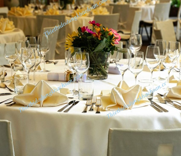 thiet-bi-phong-tiec-hoi-nghi-h3